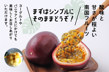 【先行予約】《令和8年度》 種子島産パッションフルーツ 1ケース ( 12個入り )  パッションフルーツ 果物 フルーツ 食品 グルメ お取り寄せ お中元 人気 おすすめ 返礼品 南種子町 鹿児島 かごしま 【有限会社新栄物産】
