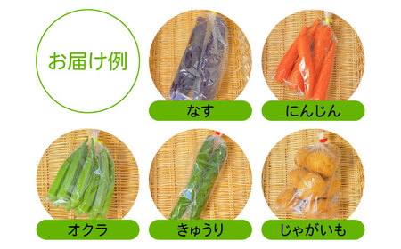 【12回定期便】野菜定期便 お米と季節のやさい 8品目 野菜 定期便 / ながさき南部 [SBW015]