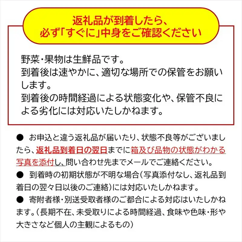 【2026年9月下旬発送】長野県産 生プルーン 約1.6kg ＜沖縄県・離島は発送不可＞ 信州 セイヨウスモモ