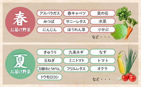 【6回定期便】旬の朝採れ 新鮮野菜セット 野菜 7～10品 