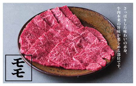 つべつ和牛 モモ焼肉 日山の焼肉だれ付き 400g | 牛 肉 黒毛 和牛 赤身 モモ モモ肉 腿肉 モモ焼肉 焼肉 焼き肉 たれ付き 高級牛肉 BBQ アウトドア キャンプ 北海道 津別町 送料無料