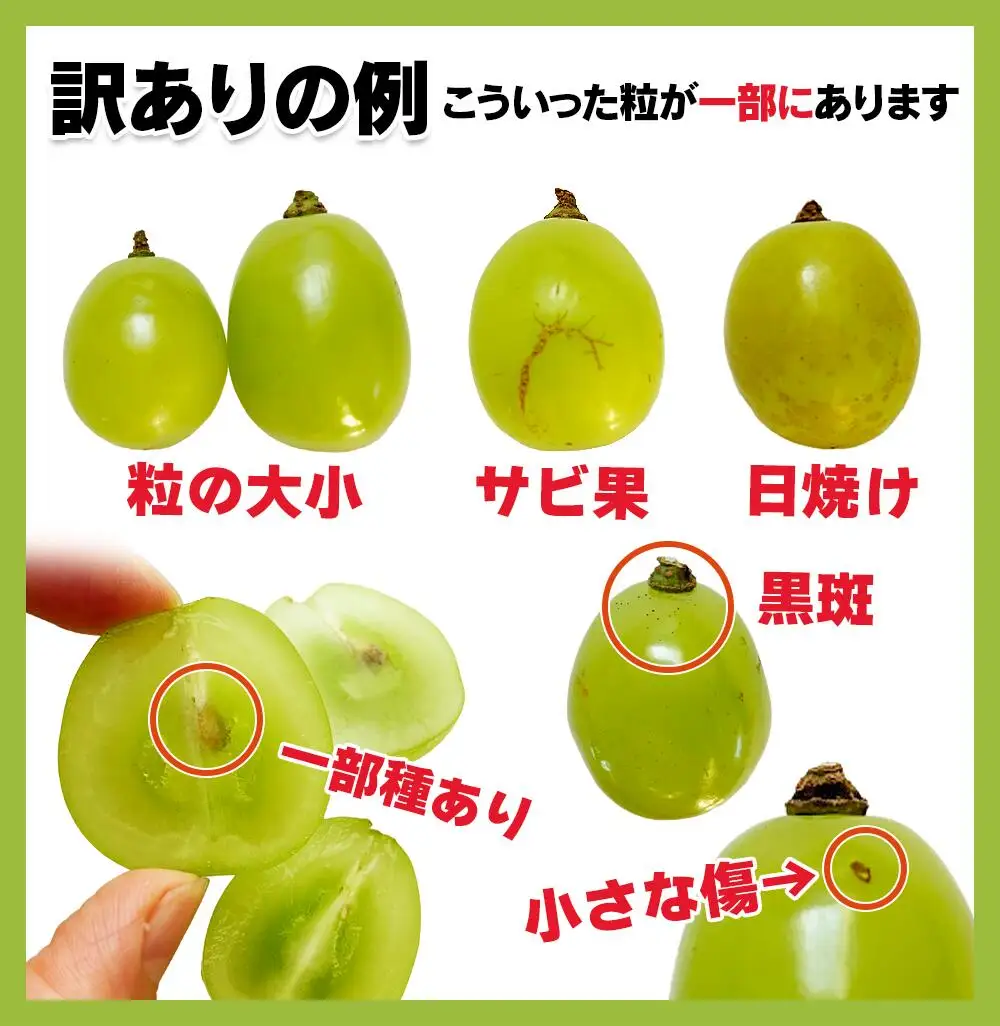 【2026年先行予約】訳あり シャインマスカット 家庭用 約2kg（4~6房）※最低1.8kg以上 | シャインマスカット