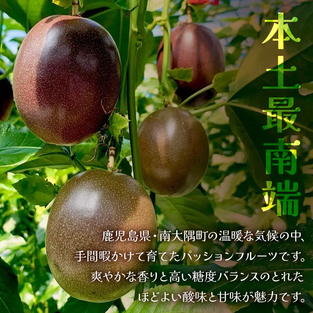 絶品！南大隅町産パッションフルーツ【リリコイバター】約160g×2瓶 HB-704 ｜リリコイ バター バタージャム 国産 ばたー パッションフルーツ ジャム じゃむ 南大隅町 スプレッド