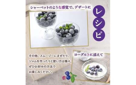 【数量限定】 冷凍ブルーベリー 1kg ／Qdr-91 冷凍 ブルーベリー