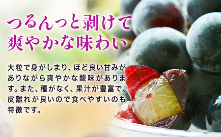 ニューピオーネ ご家庭用 1.2kg 2 ~ 3房