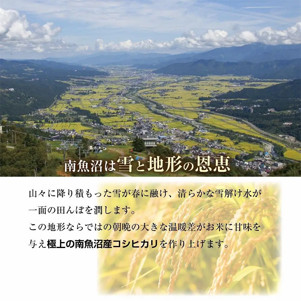 新潟県 南魚沼産 コシヒカリ 【従来品種】塩沢地区 お米 5kg  精米済み（お米の美味しい炊き方ガイド付き）【銘柄米 ブランド米 精米 こしひかり コシヒカリ 魚沼産 新潟米 産地直送 お米 米 こめ コメ ご飯 御飯 ごはん】