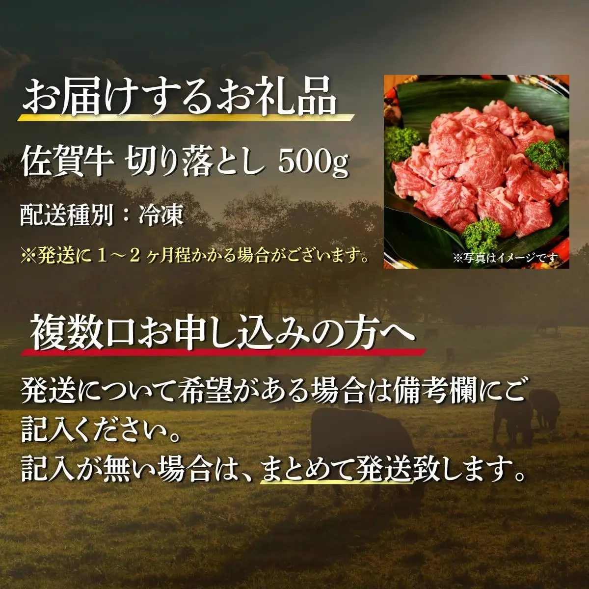 500g【佐賀牛】切り落とし B-1016