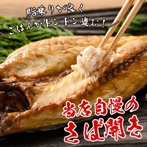 トロさばみりん干し と さば開き(計14枚・総量1.6kg～1.8kg前後)２種 干物 詰め合わせ【00-011-02】