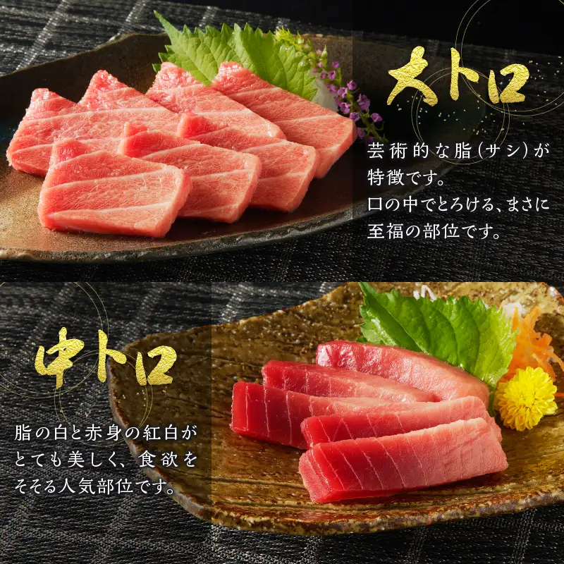 m10-001　【定期便10回】南鮪 1本 総重量約29kg（各月約2.9kg）