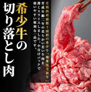 鹿児島県志布志市産横峯黒毛和牛の切り落とし肉(計500g・125g×4P) 鹿児島県産 国産 牛肉 牛 スライス 切り落とし 焼き肉 希少牛 小分け モモ ウデ バーベキュー BBQ すき焼き しゃぶしゃぶ b0-193