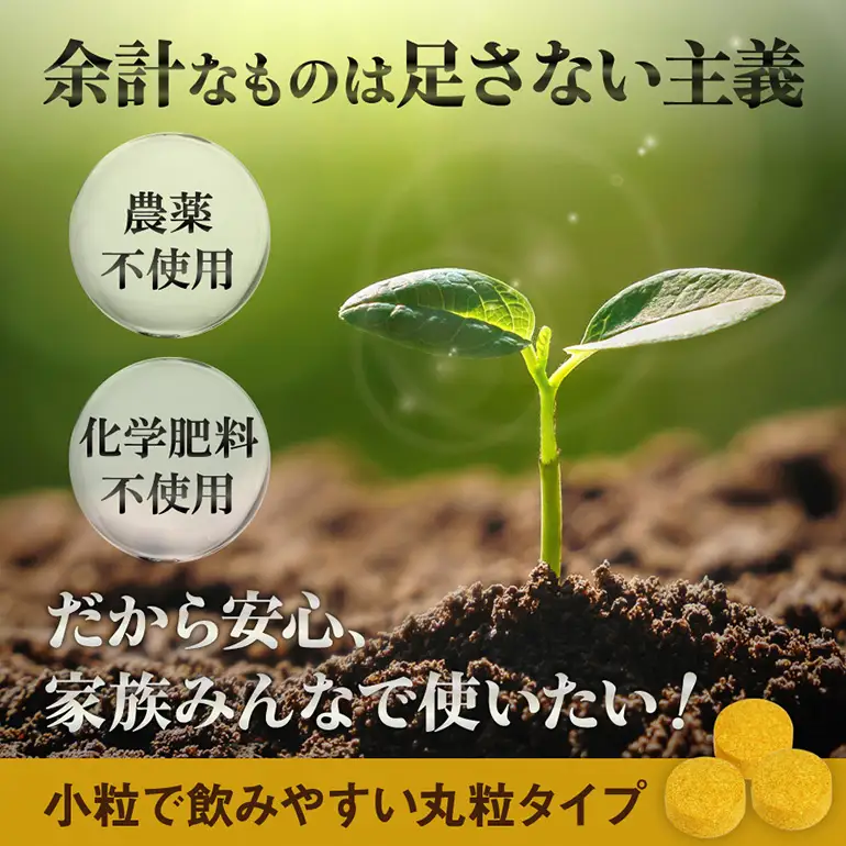 【金秀バイオ】沖縄県産 熱帯 ウコン 90粒 3袋 セット 90日 分 (約 3ヶ月 分) サプリ サプリメント 熱帯ウコン 春ウコン 紫ウコン 栽培期間中農薬・化学肥料不使用 クルクミン ビタミンC ビタミン 国産ウコン 姜黄 キョウオウ 国産 沖縄県 糸満市