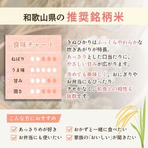【12回定期便】令和7年産きぬひかり 5kg×12回 定期便 精米 【sml430-kinu-5x12】