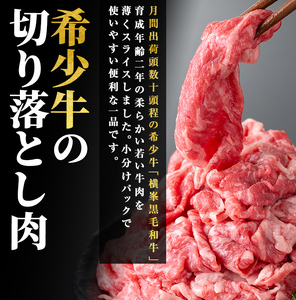 鹿児島県志布志市産横峯黒毛和牛の切り落とし肉(計1kg・125g×8P) 鹿児島県産 国産 牛肉 牛 スライス 切り落とし 焼き肉 希少牛 小分け モモ ウデ バーベキュー BBQ すき焼き しゃぶしゃぶ c9-002