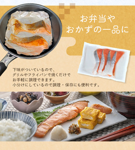 骨なし 無添加 銀シャケ 切身 50g × 16枚 (4枚入り4セット) 【nss502B】