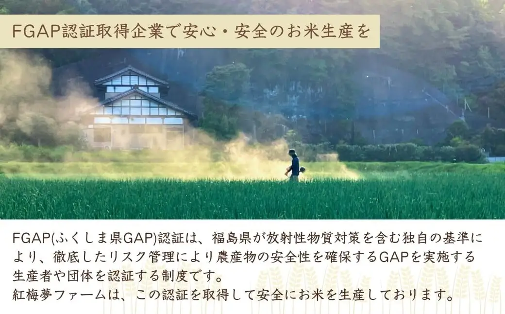 天のつぶ 新世代 白米 10kg | 令和7年産米 紅梅夢ファーム