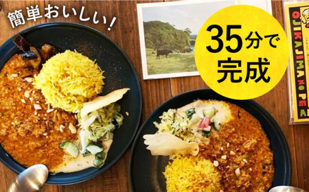 島のピーナッツカレー スパイスキット 2セット [DAA021] カレー ミールキット 落花生 ピーナッツ