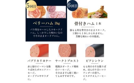  ハム 定期便 7ヶ月 豚1頭分プレミアム セット 詰め合わせ ロースハム 豚肉 肉 お肉 加工肉 食品 ベーコン ウィンナー ウインナー ソーセージ 