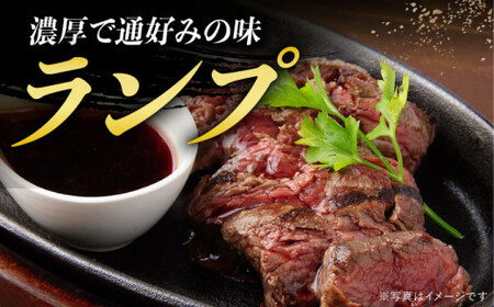 【4回定期便】A5長崎和牛 ステーキ定期便 計3.36kg ヒレステーキ 和牛 [DAR007] ヒレ 定期便