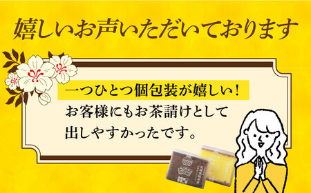 【12回定期便】 カステラ 2種 プレーン/チョコレート  [DBF018] カステラ