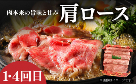 【6回定期便】 長崎和牛メイン 切り落とし 約8kg [DBL027] 切り落とし ハンバーグ