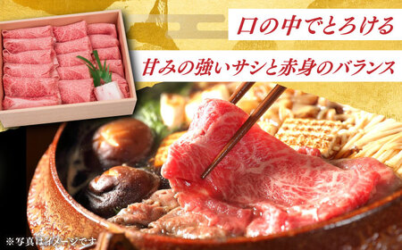 【6回定期便】長崎和牛肩ロース 薄切り 800g（すき焼き しゃぶしゃぶ） [DBJ010]