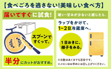 【先行予約】アールスメロン 約4kg（2玉） [DAT002] 8月発送 高級メロン マスクメロン 果物 フルーツ 夏 ギフト 