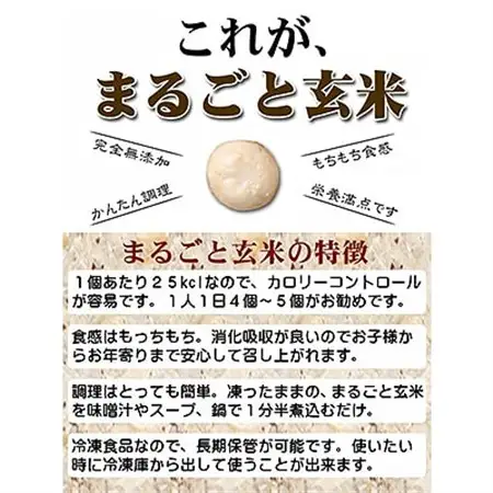 〈冷凍〉まるごと玄米(20個入り)5袋でお届け【配送不可地域：離島】【1430019】