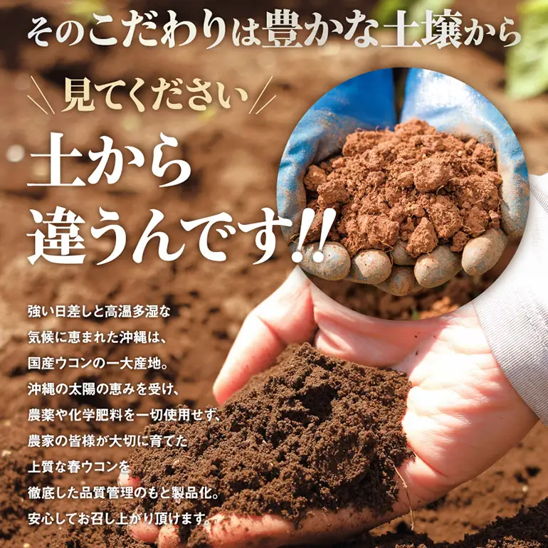 【金秀バイオ】春ウコン 粒 900粒 2袋 セット 60日 分(約 2ヶ月 分) サプリ サプリメント 沖縄県産 春ウコン 100% 栽培期間中農薬・化学肥料不使用 クルクミン ミネラル 鉄分 抗酸化作用 国産ウコン 姜黄 キョウオウ 国産 健康食品 沖縄県 糸満市