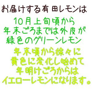 【国産】紀州和歌山 有田レモン 約1kg+200g(傷み補償分)【2026年9月下旬～2027年2月上旬に順次発送】【AA90090-ard030B】
