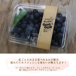 朝摘みブルーベリー 生果実 1kg ベリー 