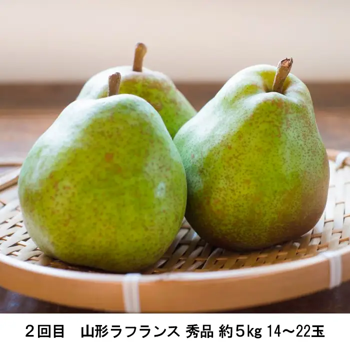 【定期便2回】ふるさとからの贈り物 りんごとラフランス便【令和8年産先行予約】FS23-657