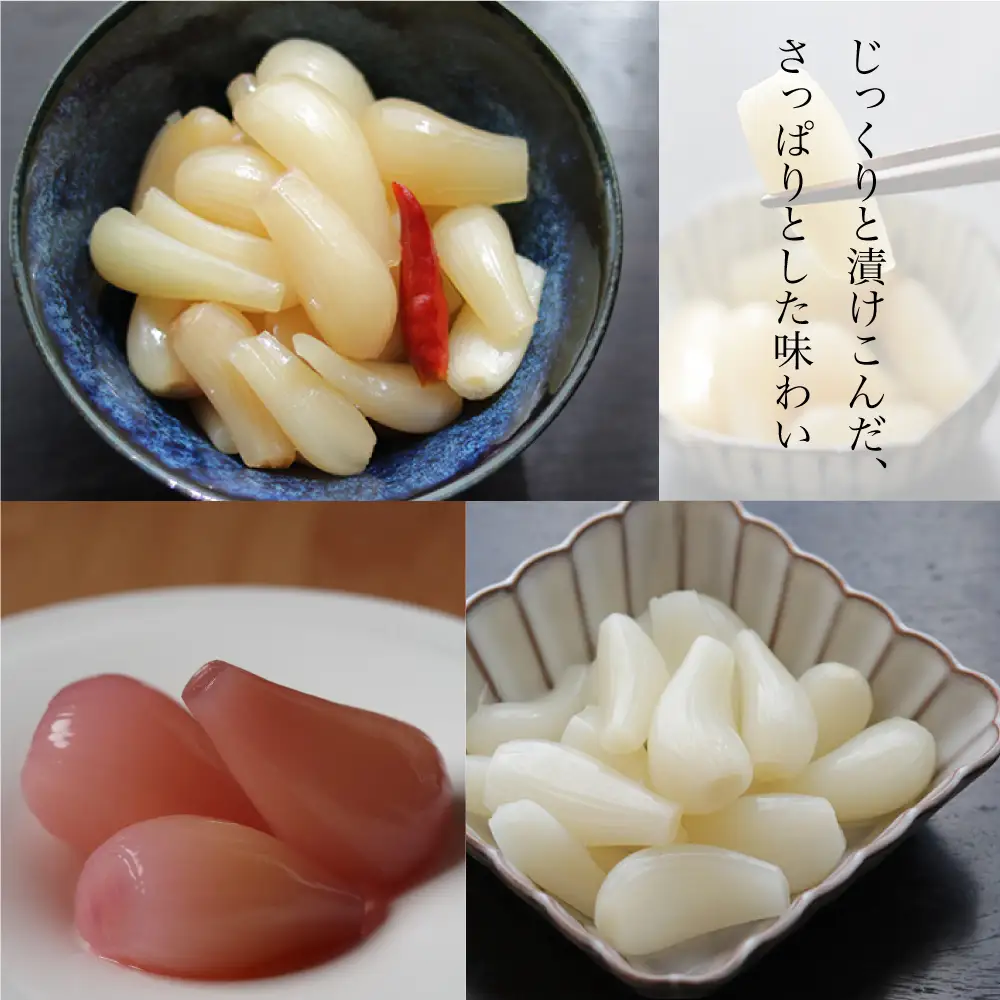 【鹿児島県産】白宝らっきょうプレミアムセット 14P（酢漬け・塩漬け各4P、しそ漬け・黒酢漬け各3P）