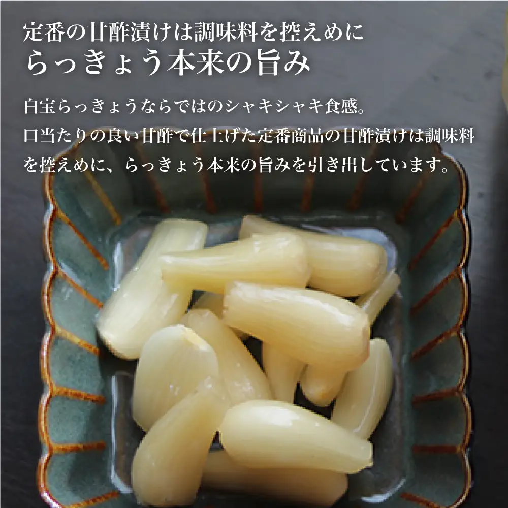 鹿児島県産 白宝らっきょう（90g×10P）