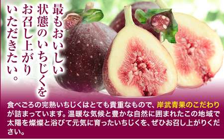 【先行予約】いちじく イチジク 約1.2kg 300g × 4パック 岸武青果株式会社《2026年8月上旬-10月下旬頃より出荷予定》 和歌山県 紀の川市 イチジク 生 産地直送 果物 フルーツ