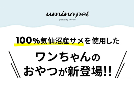 UMINO PET サメ肉と軟骨のパウダー 計120g（40g×3） [石渡商店 宮城県 気仙沼市 20563977]