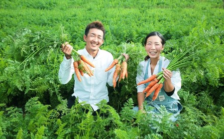 訳あり 規格外 にんじん 約5kg 有機JAS認証取得 栽培期間中農薬 除草剤 化学肥料不使用 野菜 食材 緑黄色野菜 国産野菜 えぐみがない 甘い人参 産地直送 キャロット ベジタブル 