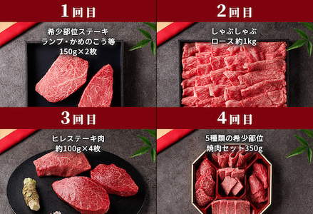 Y013 【和牛セレブ】鳥取和牛 定期便 ダイヤモンドクラス