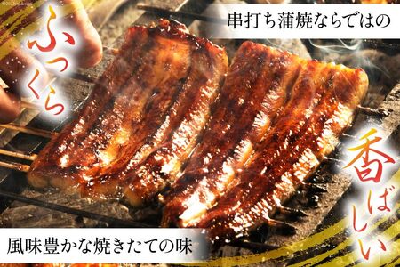 うなぎ 国産 鰻 蒲焼 80g×3 [22424460]