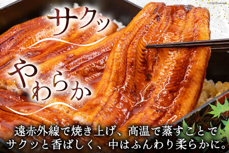 うなぎ 国産 蒲焼 約145g×2 真空パック [22424421]