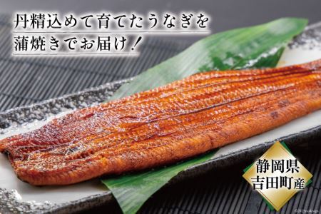 うなぎ 国産 鰻 蒲焼 150g以上×2尾 [22424464]