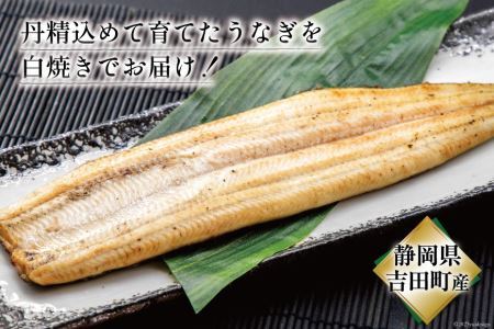 うなぎ 国産 静岡 うなぎ白焼 150g 以上× 2尾 タレ 山椒 付き [大井川うなぎ 静岡県 吉田町 22424463]