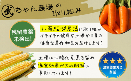 【2026年発送】朝採り直送 メロンより甘い 生とうもろこし“にっこりコーン” 7本 H095-027