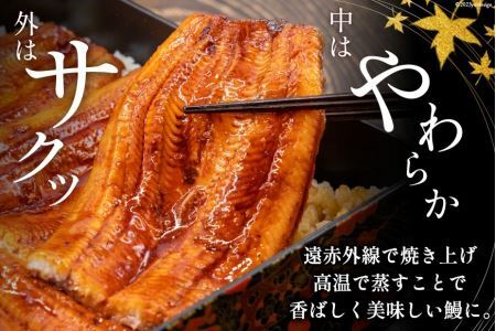 うなぎ 国産 鰻 蒲焼き 4尾 12回 定期便 [5024122]