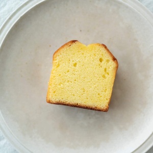 ショコラテリーヌとレモンケーキの口福セット【kajk004】