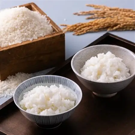 青天の霹靂・まっしぐら　精米　計10kg(各5kg×1袋)_ 精米 米 _【配送不可地域：離島・沖縄県】【1135486】