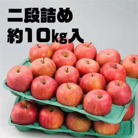 今年も約10kgお届けします!　訳ありりんご「サンふじ」24～46個入【R8年12月中旬～発送開始】_りんご 林檎 訳あり フルーツ 果物 くだもの 傷 規格外 青森県 10kg 人気 おすすめ 送料無料_【配送不可地域：離島・沖縄県】【1333055】