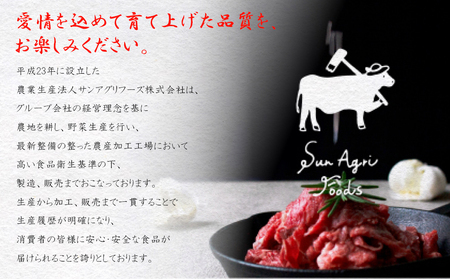 豚肉 切り落とし 宮崎県産 豚バラ 6回 定期便 500g 3p 総計9kg [サンアグリフーズ 宮崎県 美郷町 31ba0048]