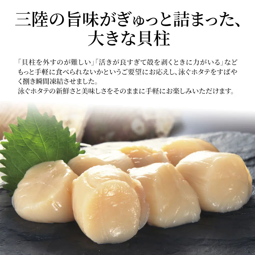 fn-39-003 泳ぐホタテの貝柱 (バラ凍結タイプ) ヤマキイチ商店