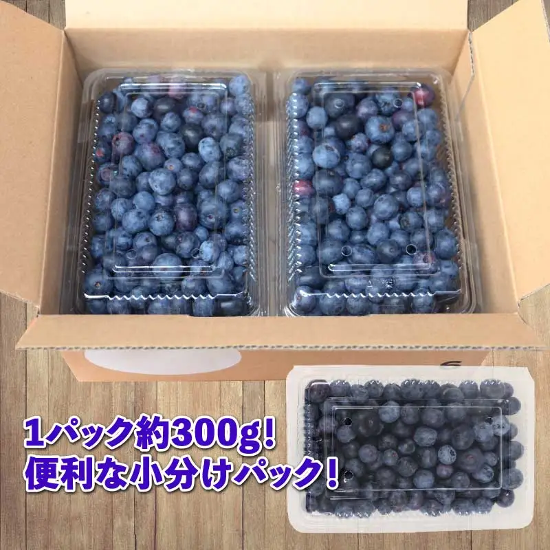 ブルーベリー 300g × 4パック 計 約1.2kg 吉田農園 先行予約 ポット栽培 大粒 小分け パック 生 ベリー 果物 フルーツ デザート スイーツ ポリフェノール 抗酸化作用果物 フルーツ 冷蔵 農家直送 産地直送 数量限定 国産 愛媛 宇和島 F012-160002