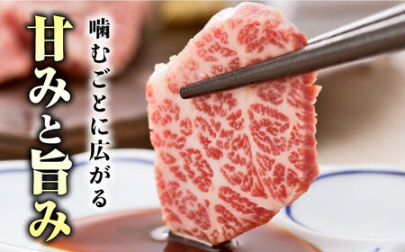 【3回定期便】プレミアム三角バラ 馬刺し 約100g お肉 馬肉 国産 熊本県 特産品 ヘルシー【株式会社  利他フーズ】[ZBK010]